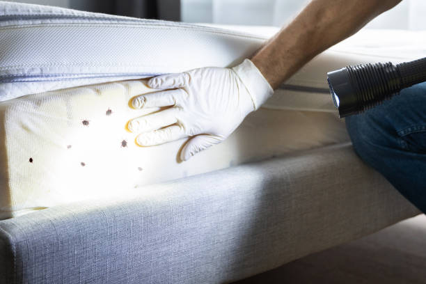 Professional Pest Control in Talty, TX